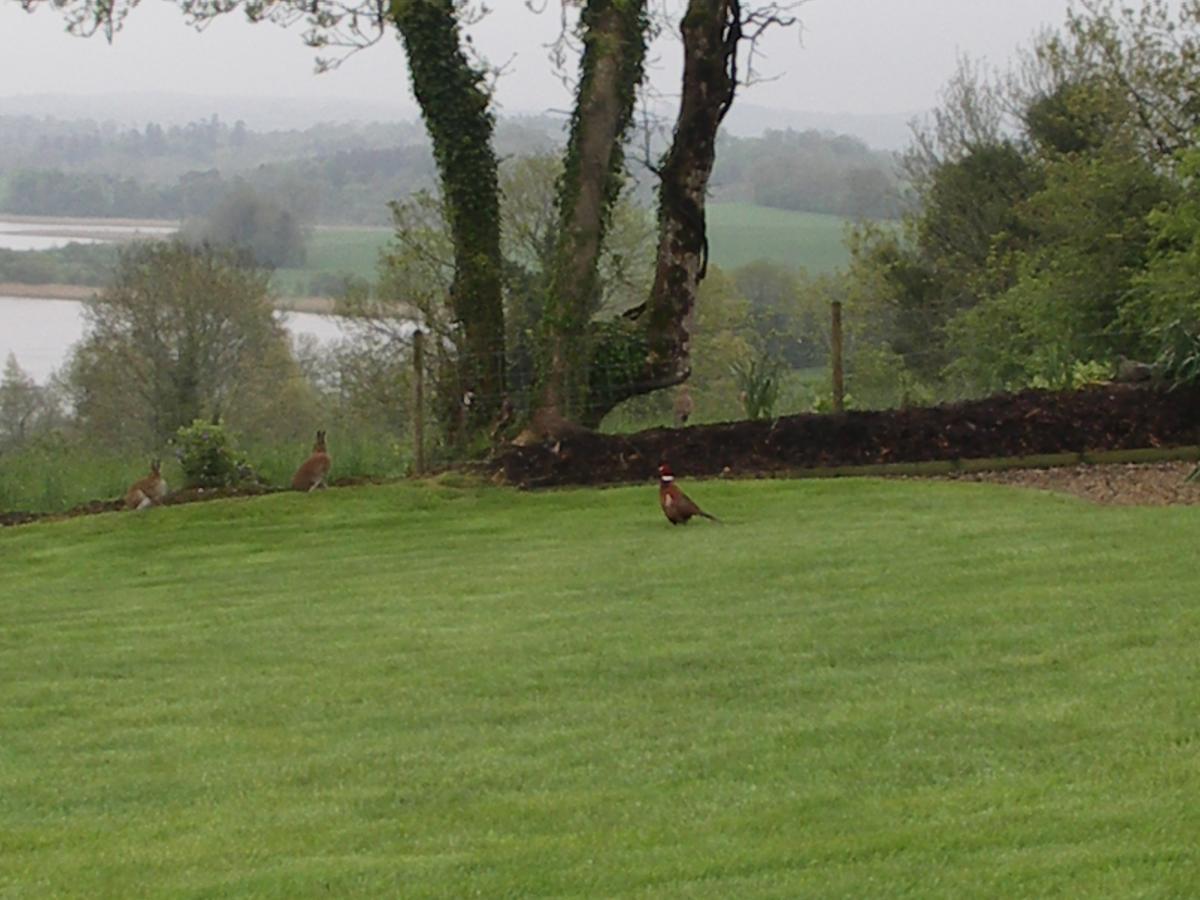 Willowbank House